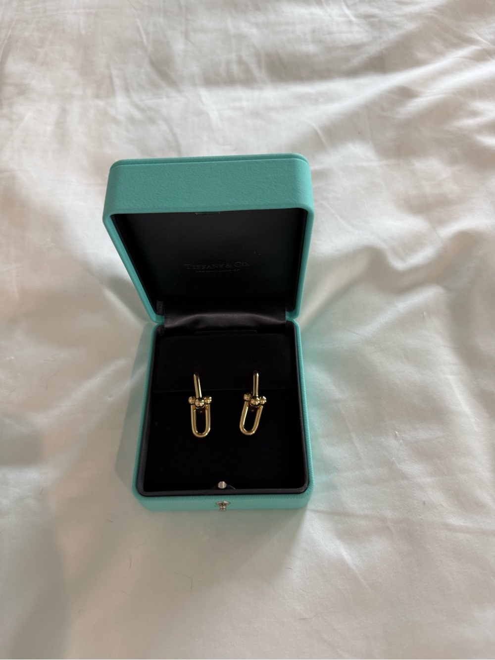 Tiffany & Co. Gold Knot Link Earrings